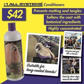 Shampoo & Conditioner
