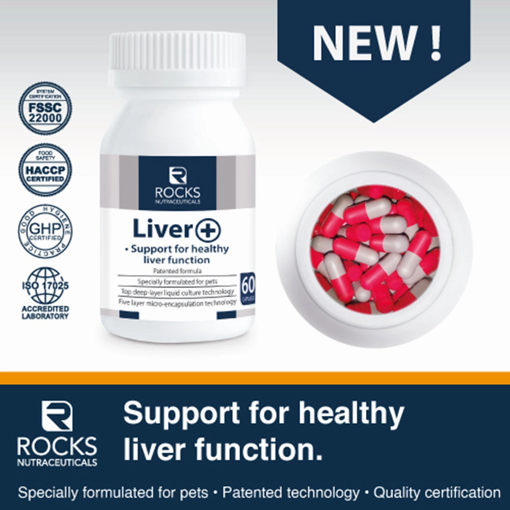 *CHILLED* Rocks Nutraceuticals Liver  60caps