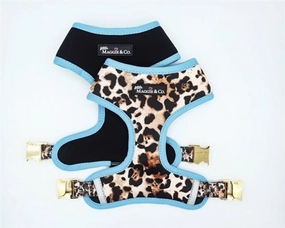 "Exotic" Reversible Harness