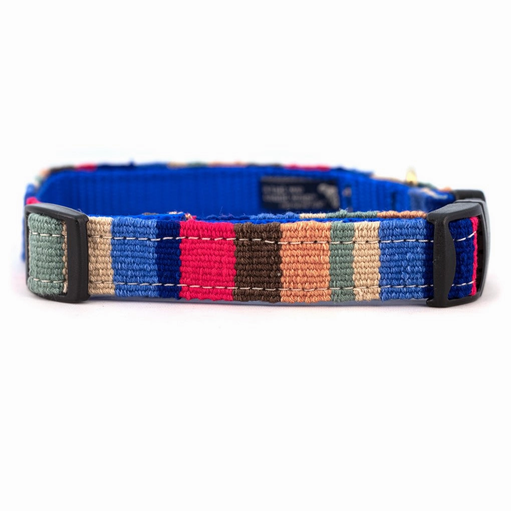 A Tail We Could Wag Side Release Collar Beach Collection