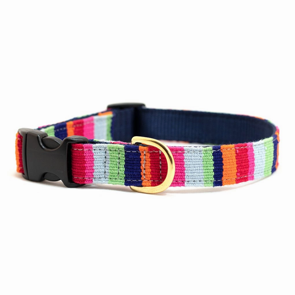 A Tail We Could Wag Side Release Collar Beach Collection