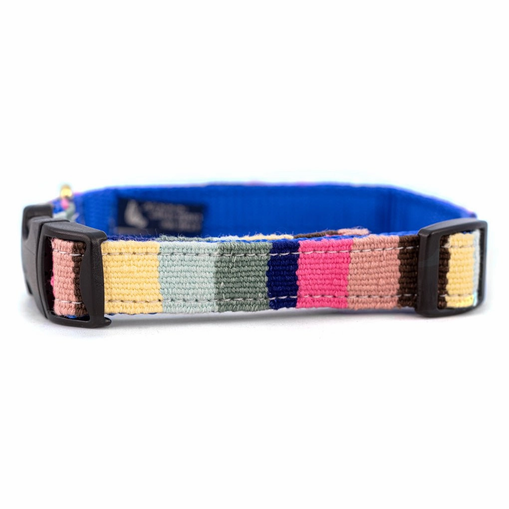 A Tail We Could Wag Side Release Collar Beach Collection
