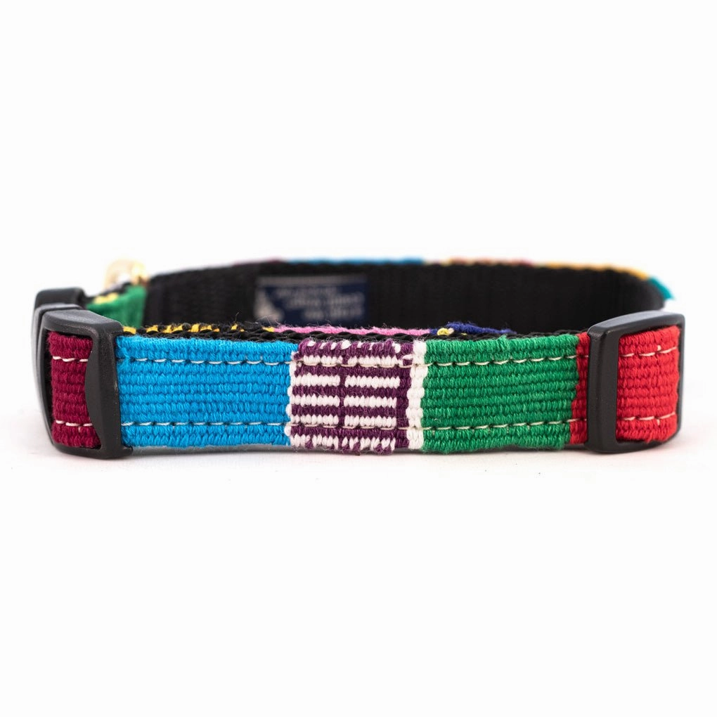 A Tail We Could Wag Side Release Collar Earthly Collection