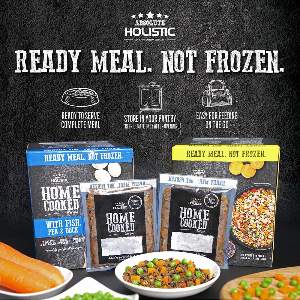 Absolute Holistic Dog Home Cooked Recipe Beef, Pea & Salmon 375g