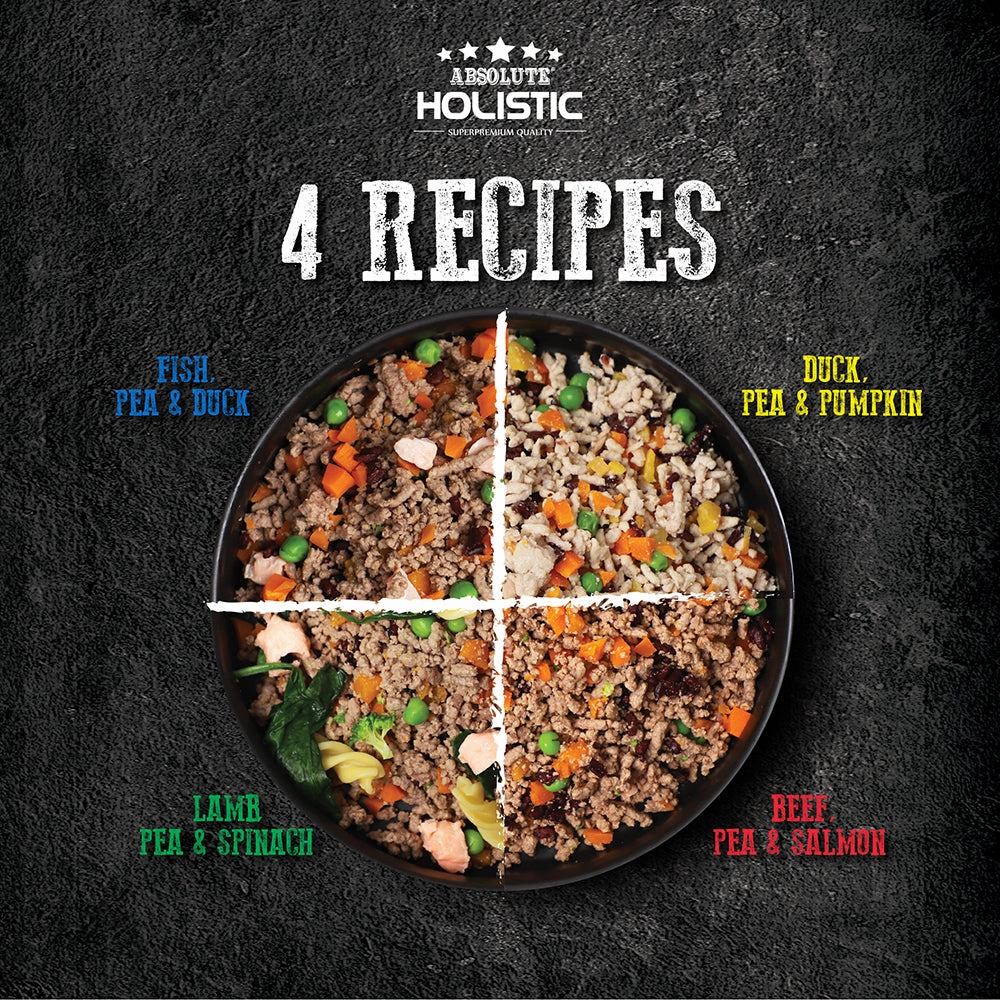 Absolute Holistic Dog Home Cooked Recipe Fish, Pea & Duck 375g