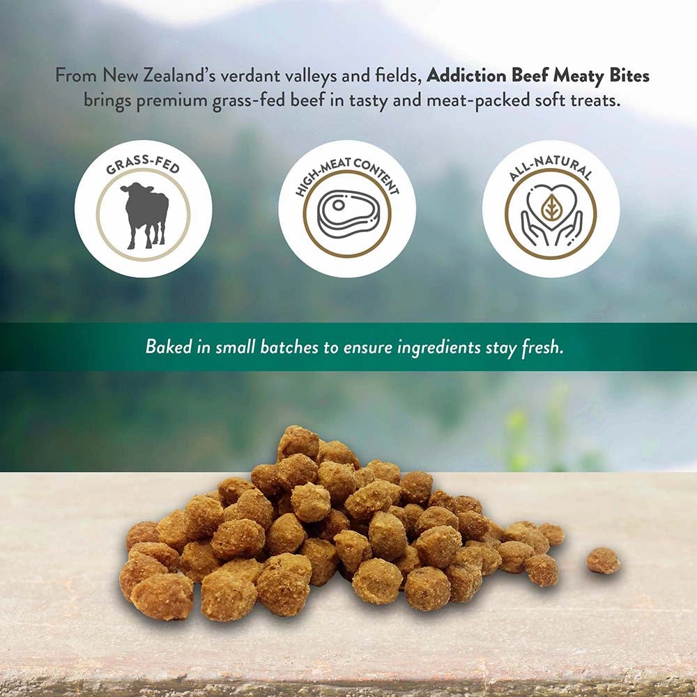 Addiction Dog Beef Meaty Bites 113g
