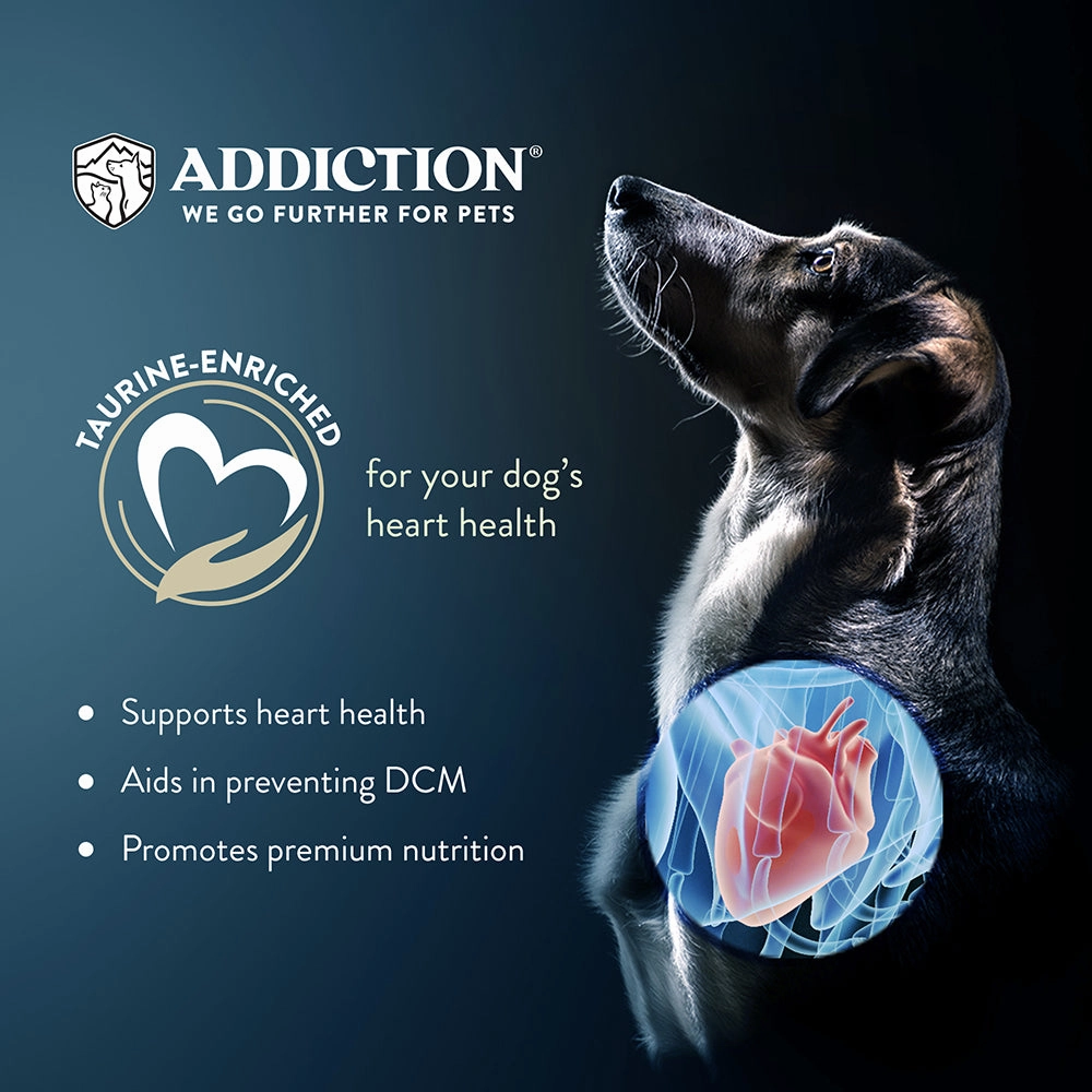 Addiction Dog Grain-Free Wild Kangaroo & Apples 4lb