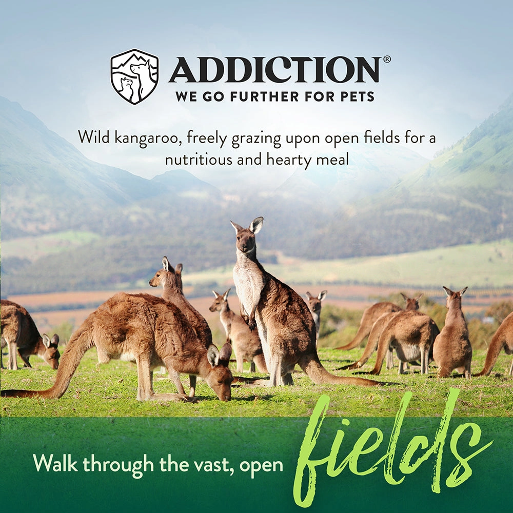 Addiction Dog Grain-Free Wild Kangaroo & Apples 4lb