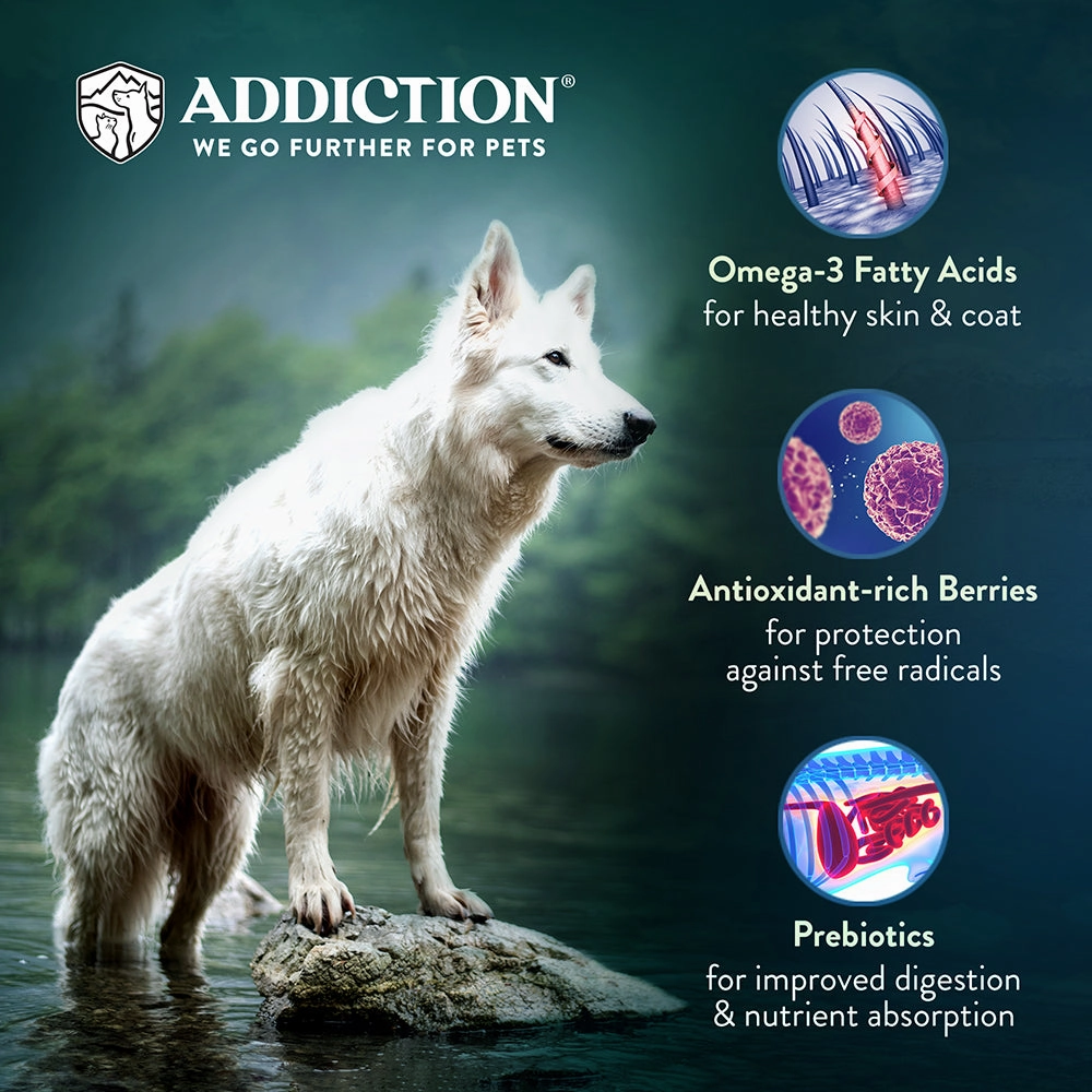 Addiction Dog Raw Alternative Herbed Lamb & Potatoes 2lb