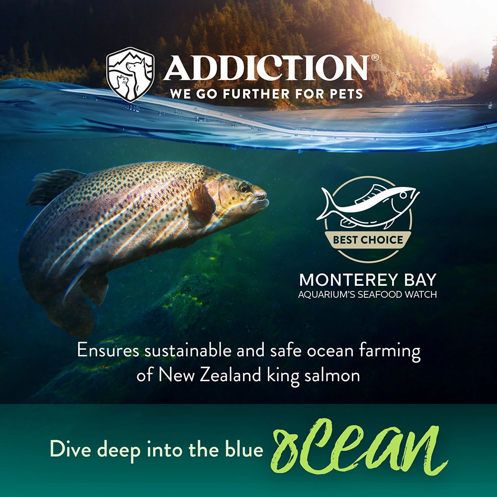 Addiction Dog Salmon Bleu 4lb