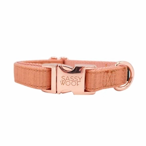 Apple Cider Spice Collar
