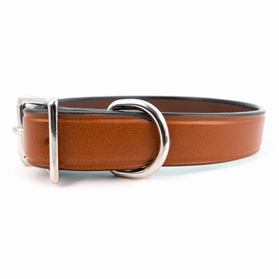 AUBURN Town Collar in Many Colors
