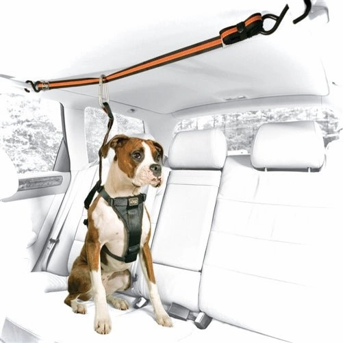 Auto Zip Line with Leash & Tether - Black-Orange