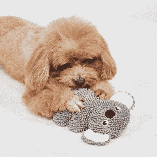 Barkbutler x Fofos Tough Koala Chew Toy for Dogs