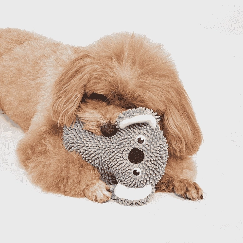 Barkbutler x Fofos Tough Koala Chew Toy for Dogs
