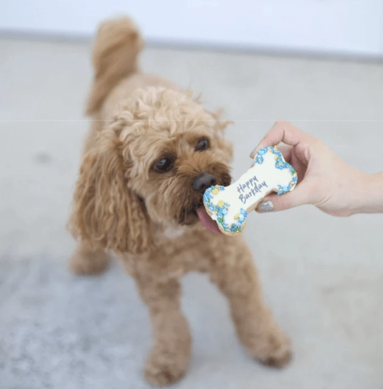 Barney's Barkery Dog Birthday Bone Cake - Blue