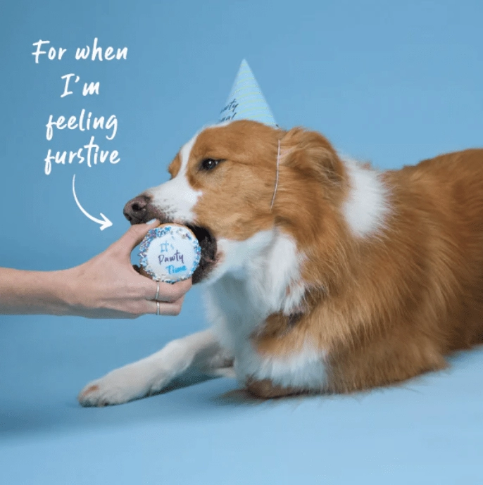 Barney's Barkery Dog Birthday Cake - Blue