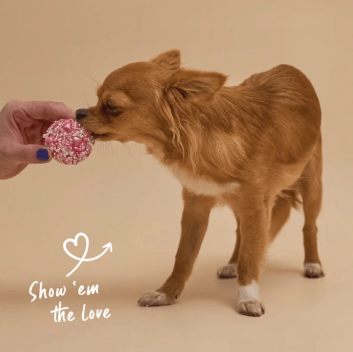 Barney's Barkery Dog Cupcake Duo - Hearts