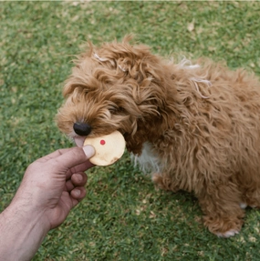 Barney's Barkery Pawty Meat Pie Dog Treat