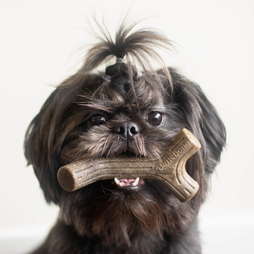 Benebone Bacon Flavored Maplestick and Zaggler Chew Toys for Dogs
