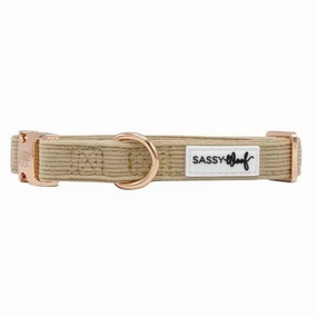 Best Pup Wedding Collar