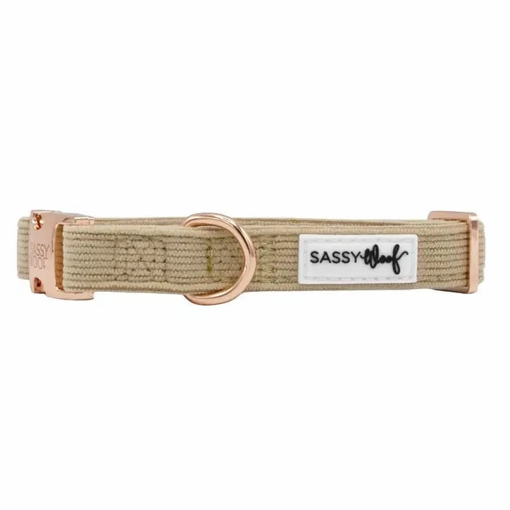 Best Pup Wedding Collar