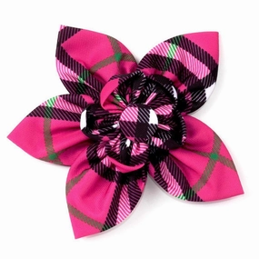 Bias Plaid Hot Pink Dog Collar Flower