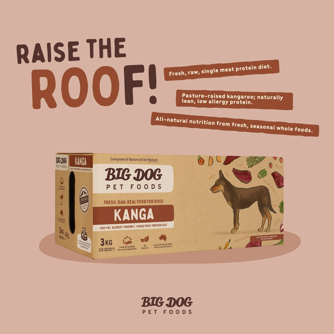 Big Dog - Kangaroo Allergy for Dogs (3kg)