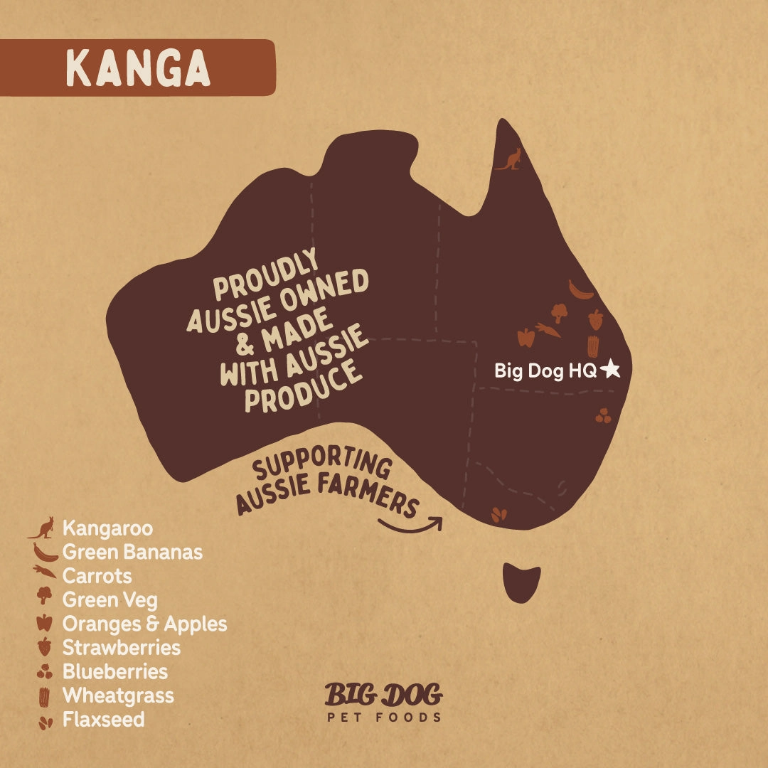 Big Dog - Kangaroo Allergy for Dogs (3kg)
