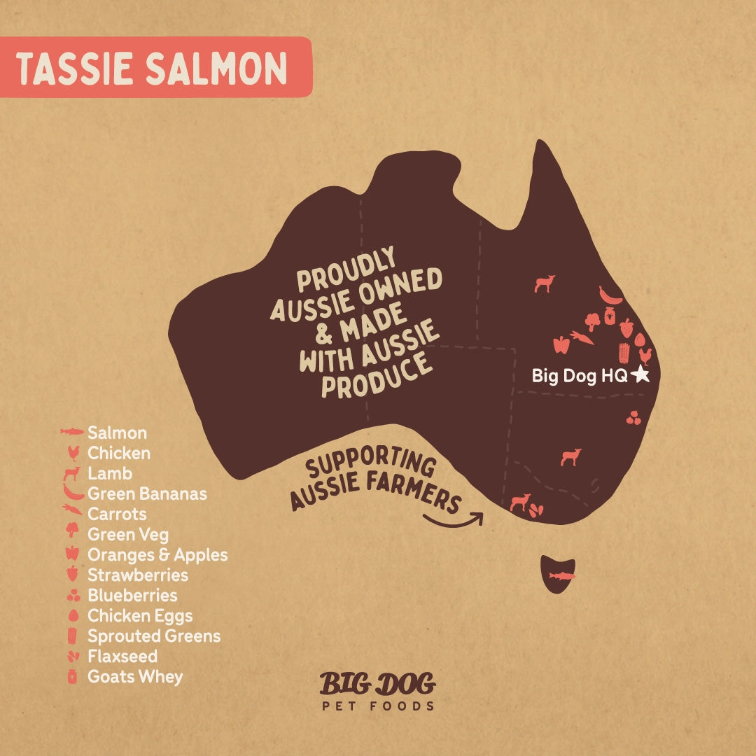 Big Dog - Tasmania Salmon for Dogs (3kg)