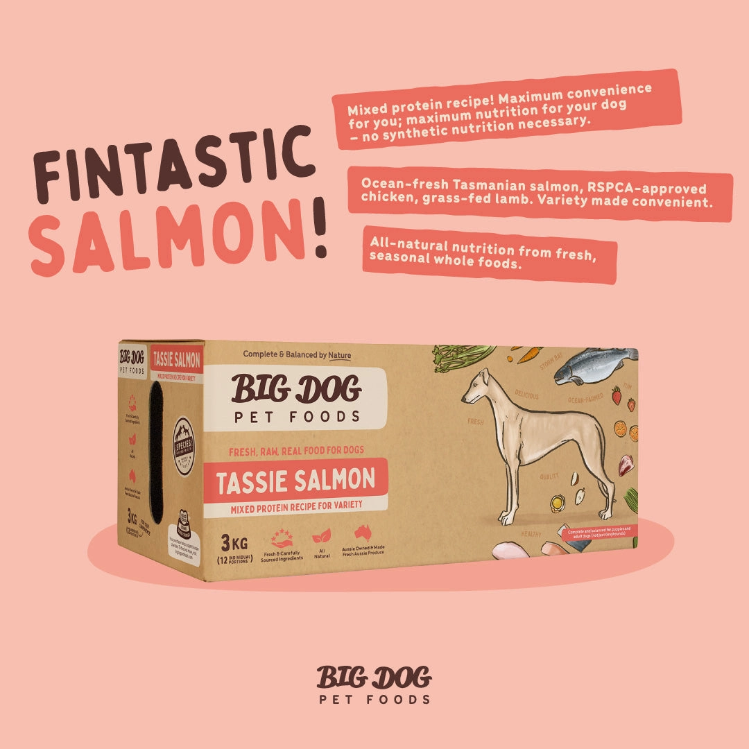 Big Dog - Tasmania Salmon for Dogs (3kg)