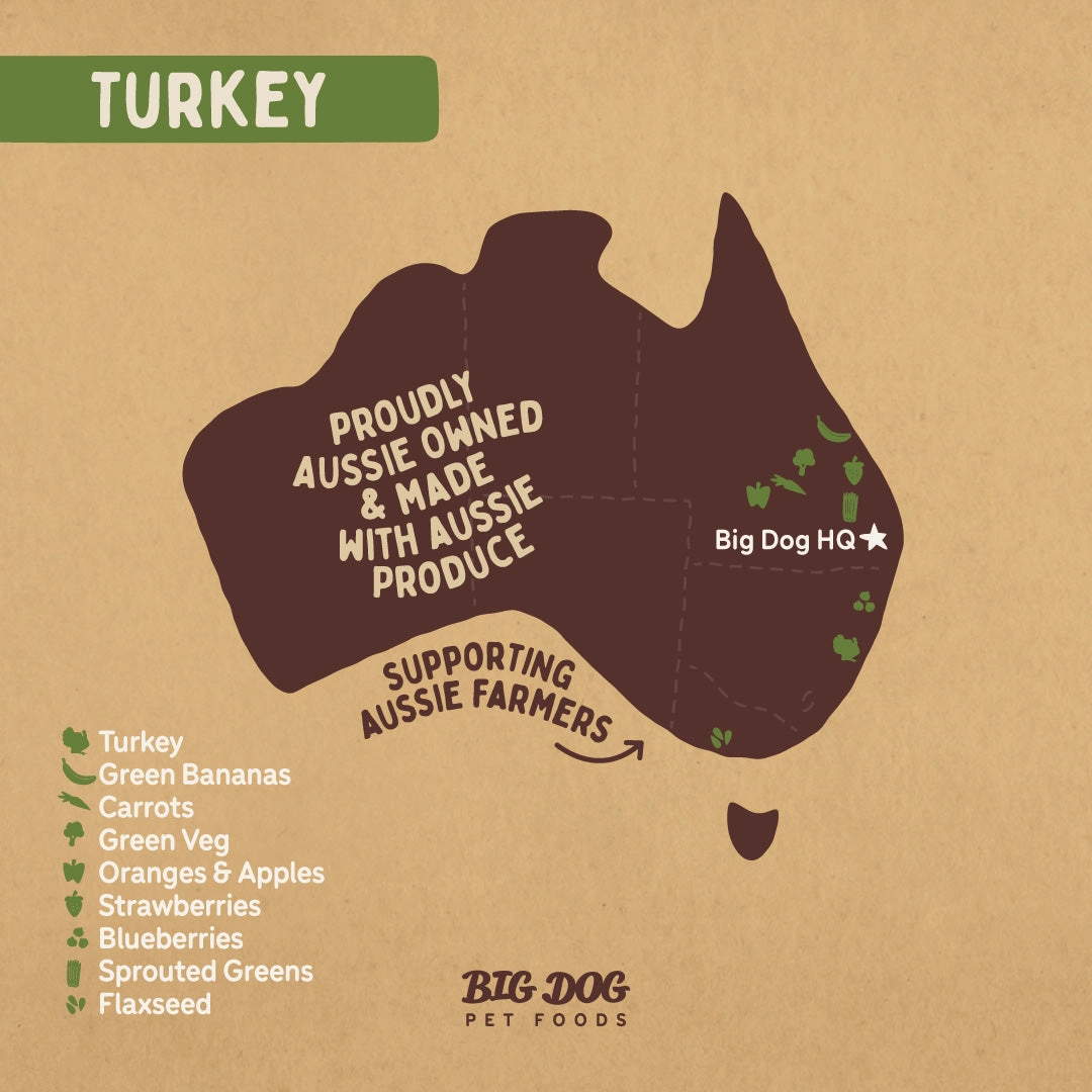 Big Dog - Turkey Allergy for Dogs (3kg)