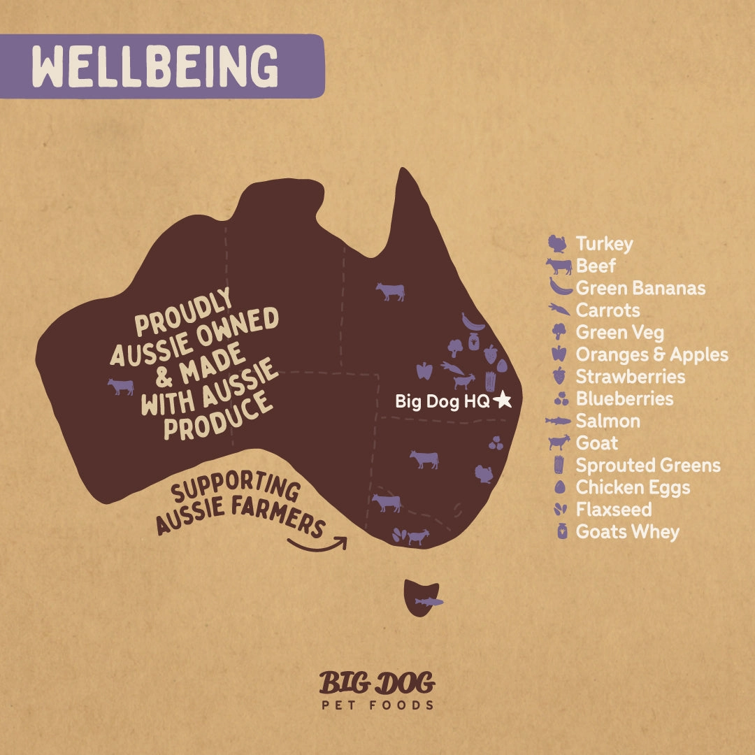 Big Dog - Wellbeing for Dogs (3kg)