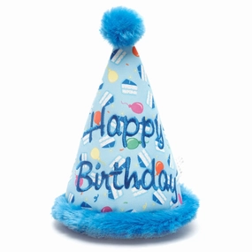 Birthday Boy Hat Dog Toy