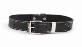 Black Traditional Buckle Leather Collar