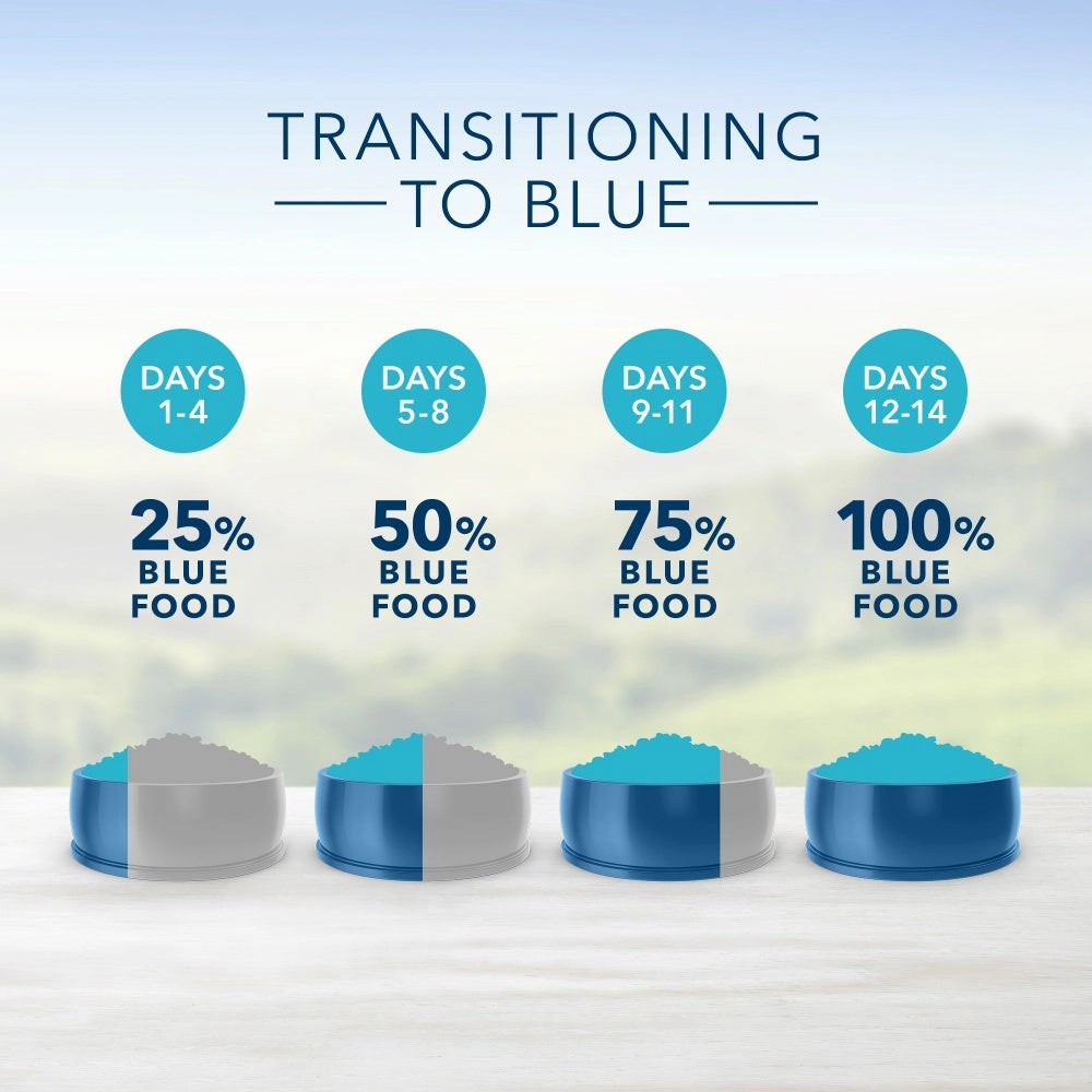 Blue Buffalo Life Protection Natural Small Bites Chicken & Brown Rice Recipe Adult Dry Dog Food