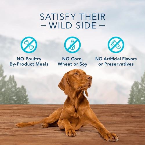 BLUE Wilderness Trail Treats Grain Free Biscuits; Salmon Recipe