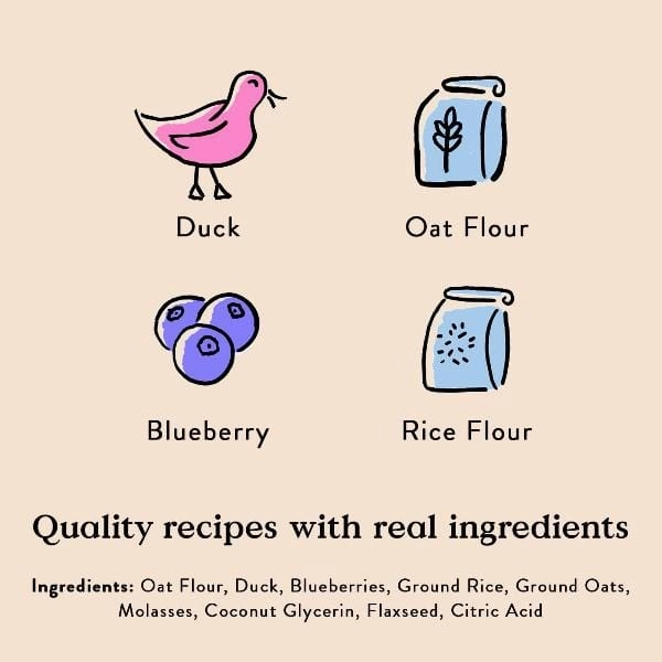 Bocce's Quack, Quack, Quack Training Bites Dog Treats