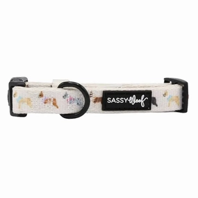 Bold Boston Terriers Collar