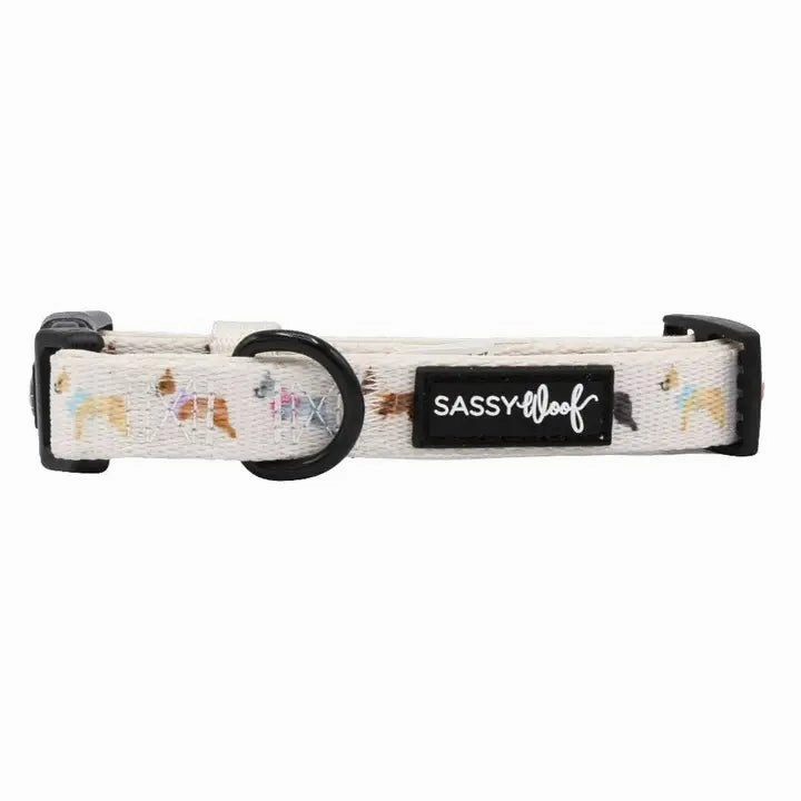 Bold Boston Terriers Collar