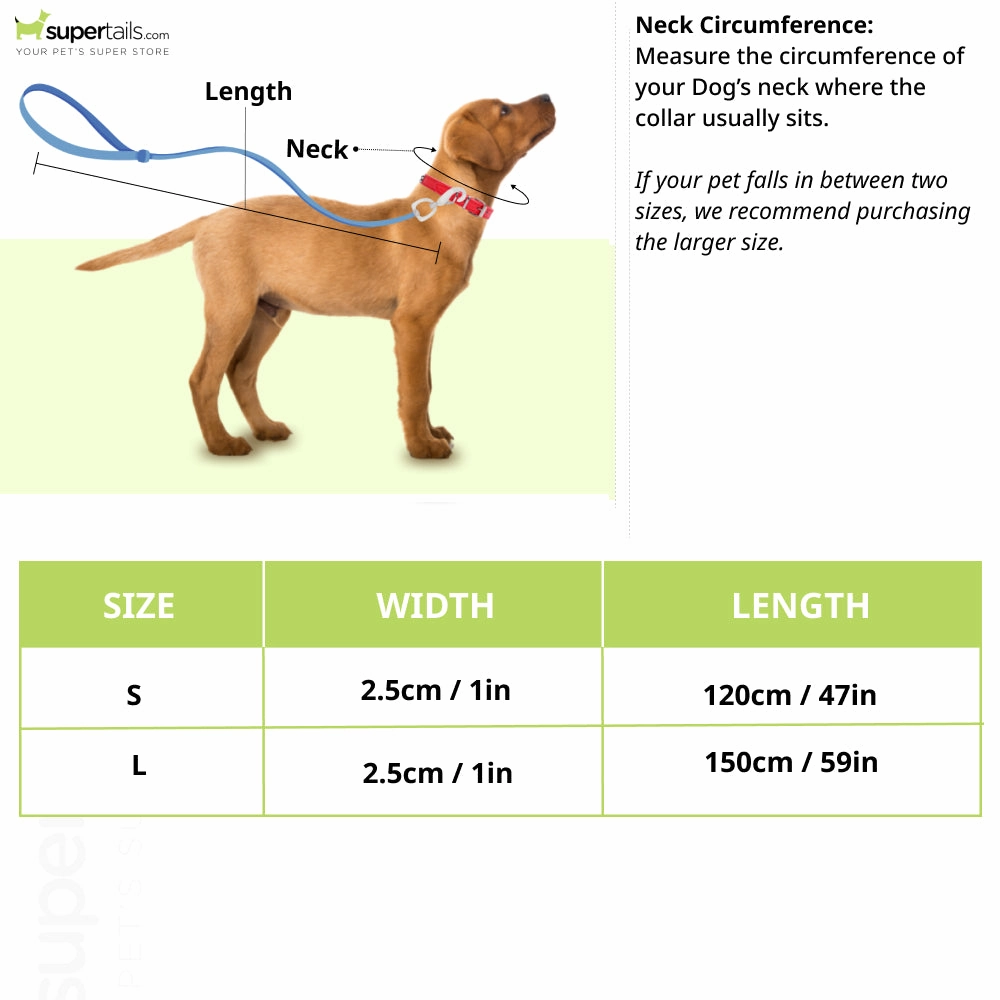 Boss Core Walk Leash for Dogs (Pink Cream)
