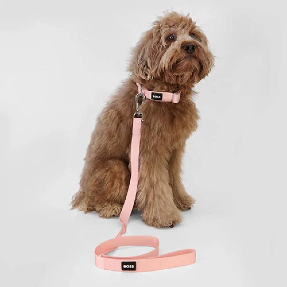 Boss Core Walk Leash for Dogs (Pink Cream)