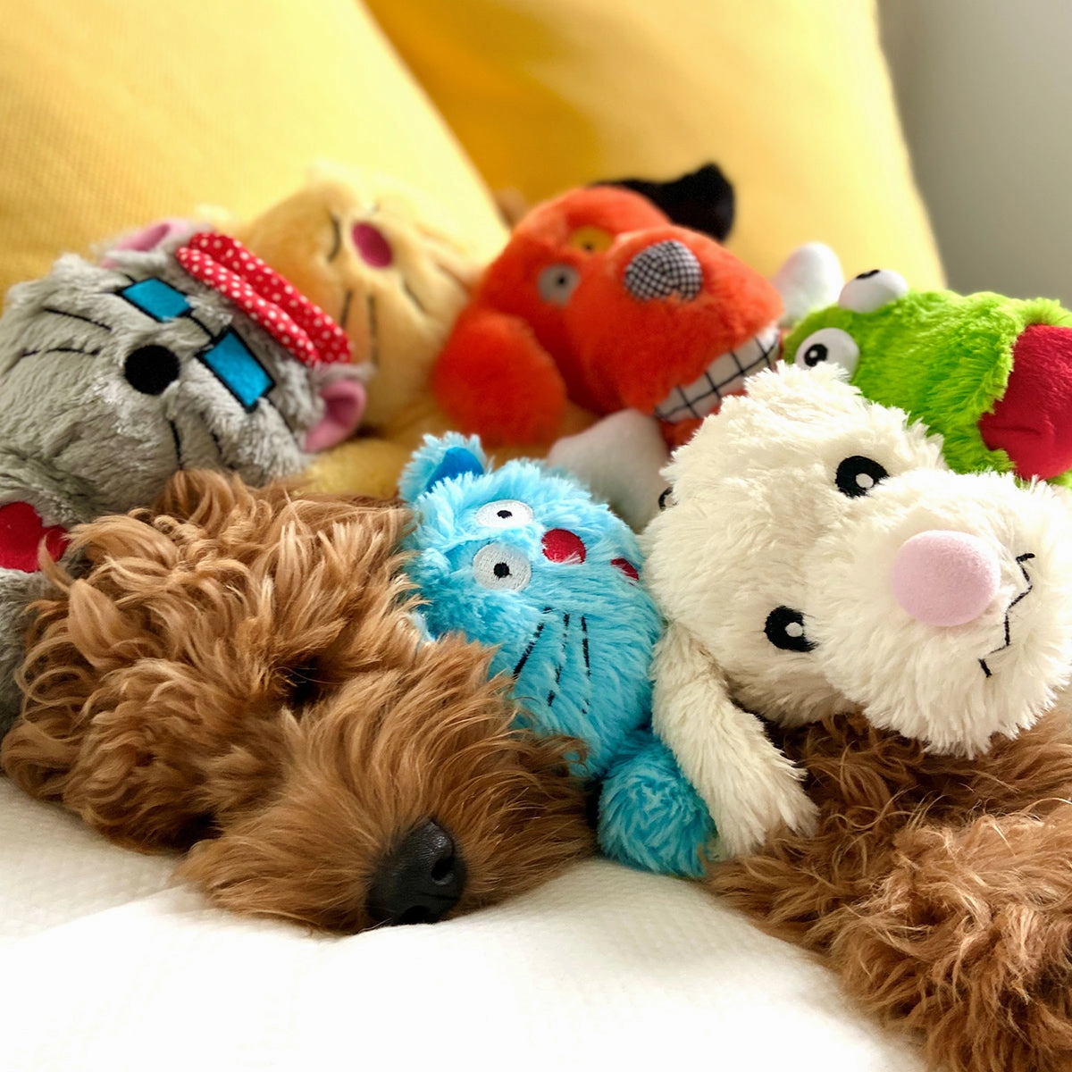 Bowzers & Meowers Dog Toys Set Of 3
