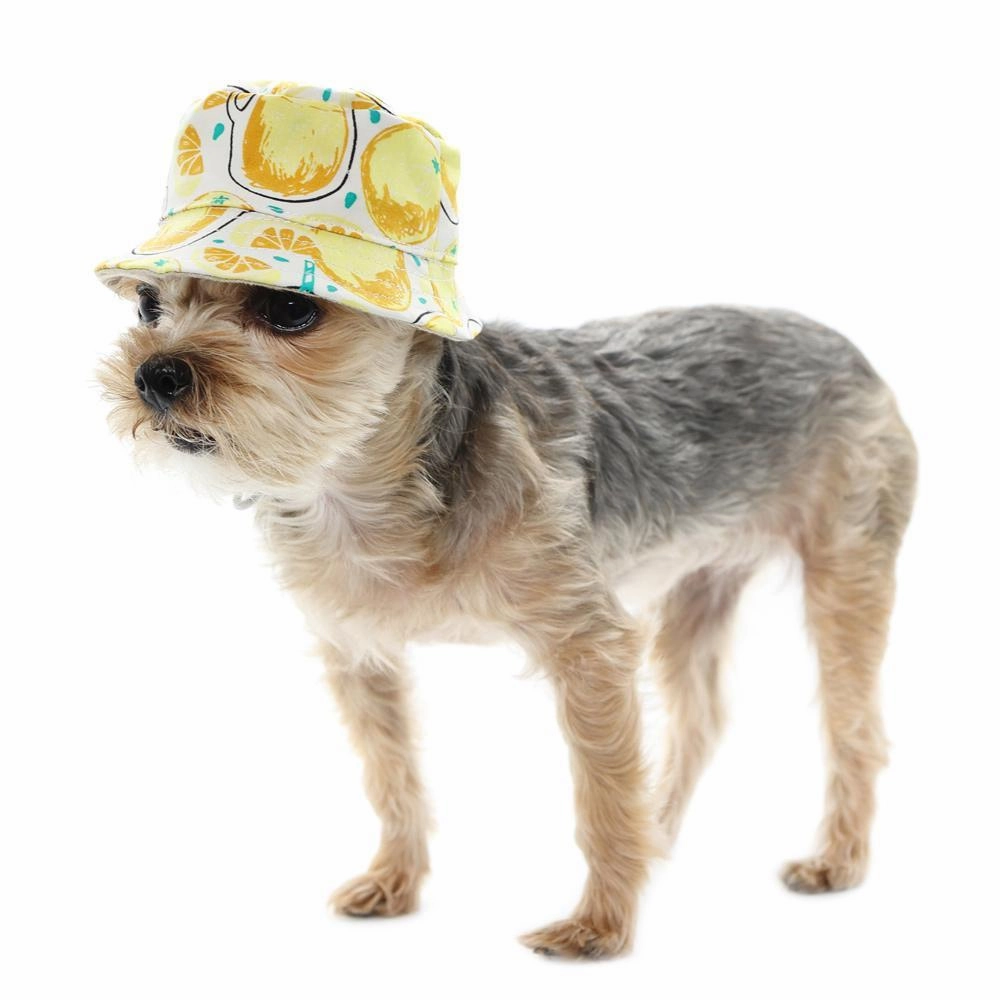 Bucket Dog Hat Lemonade Yellow