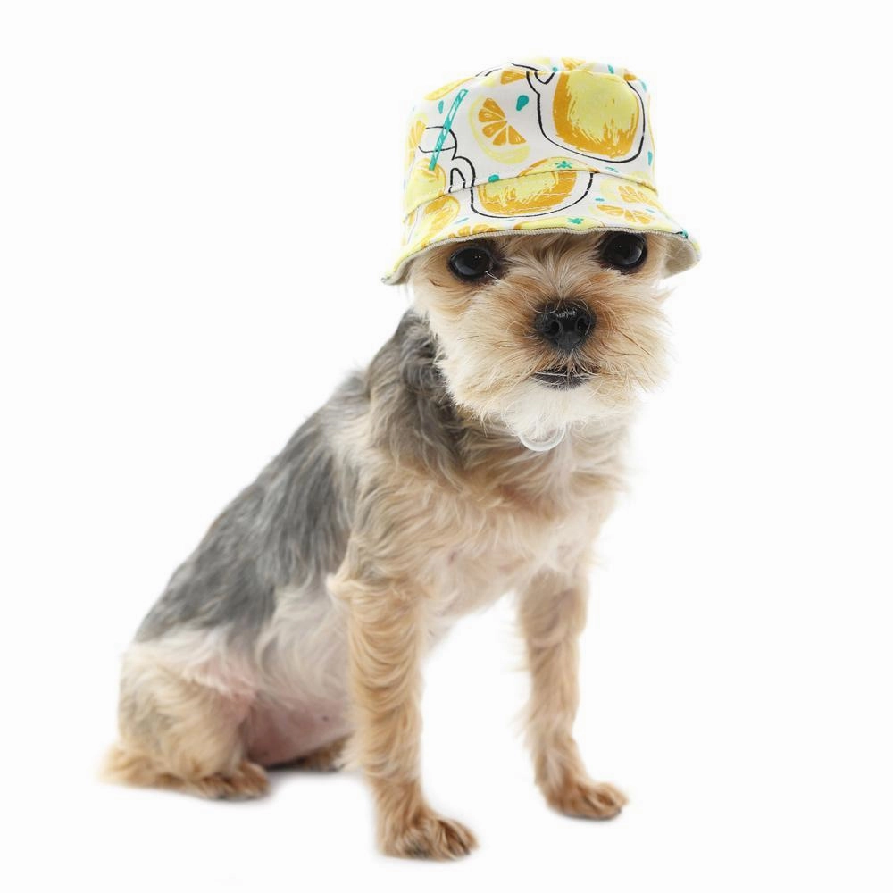 Bucket Dog Hat Lemonade Yellow