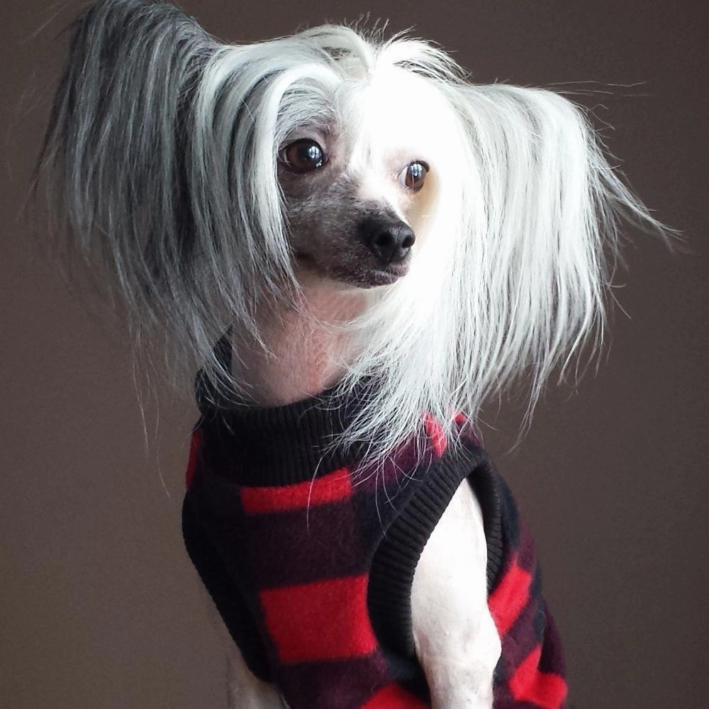 Buffalo Plaid Polar Fleece Sleeveless Mock Dog Sweatshirt