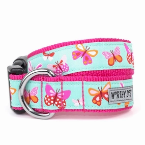 Butterflies Dog Collar