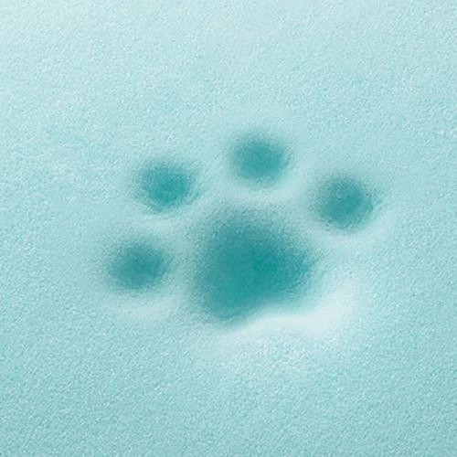 California Dreaming Memory Foam Dog Bed Fog Grey
