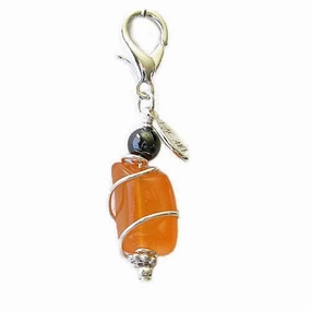 Carnelian/Hematite Healing Dog Collar Charm Pawmulet