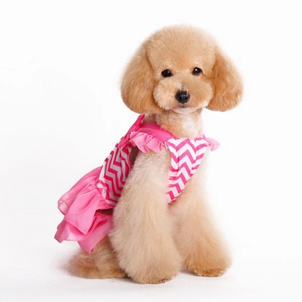 Chevron Dog Dress